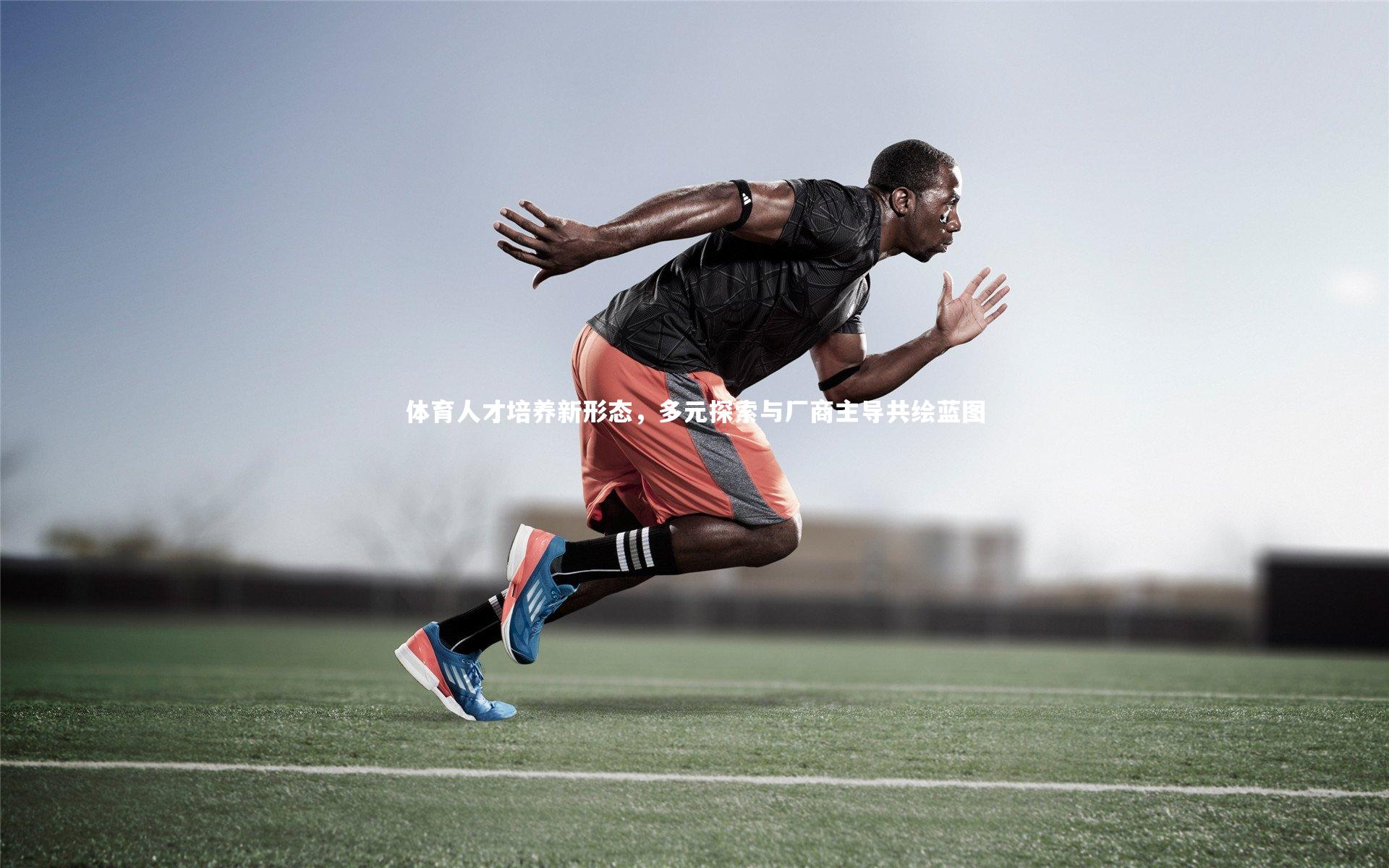 体育人才培养新形态，多元探索与厂商主导共绘蓝图